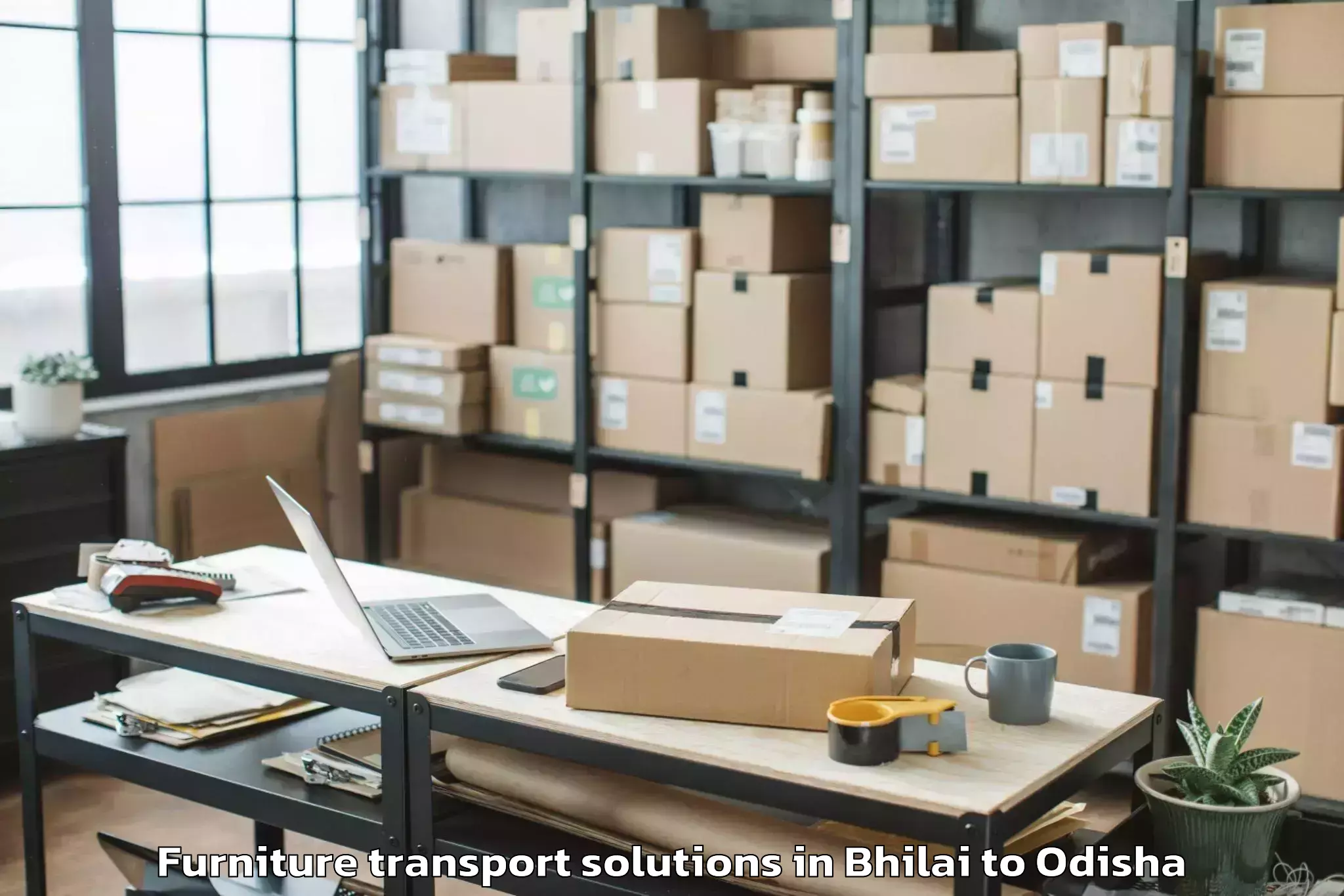 Professional Bhilai to Ulunda Furniture Transport Solutions